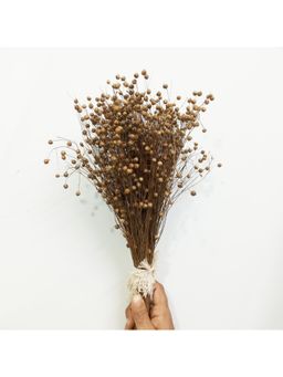 Vanchai - 50 Pcs Natural Linum Dried Canary Grass Bunch