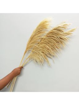 Vanchai - Bend Pack of 5 Natural Dried Pampas Grass 25" Feet Tall, Vase Filler For Home Decor