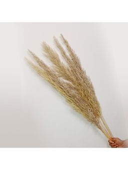 Vanchai - Pack of 10 Natural Dried Pampas Grass 25" Feet Tall, Vase Filler For Home Decor