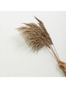 Vanchai - Pack of 6 Natural Dried Pampas Grass 25" Feet Tall, Vase Filler For Home Decor