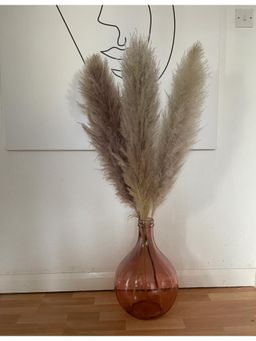 Vanchai - Beige Pack of 5 Natural Dried Pampas Grass 25" Feet Tall, Vase Filler For Home Decor