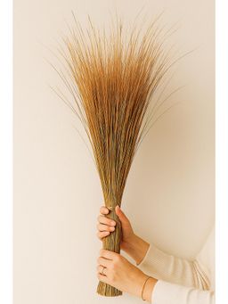 Vanchai - Natural Dried Dune Grass/Bunch For Decor - 2.5 Ft Stems