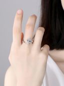 Silver color option