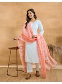 Coral color option, Currently selected