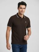Brown color option, Currently selected