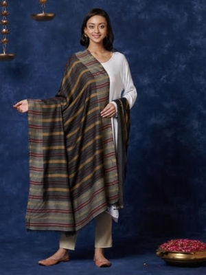 fabindia shawl