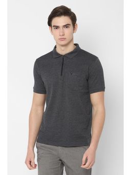 Allen Solly - Men Grey Textured Polo T-Shirt