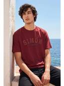Maroon color option, Currently selected