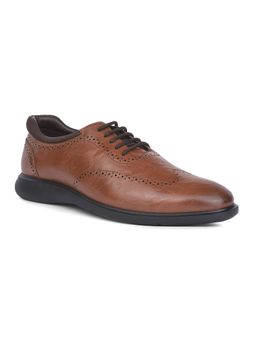 Bata - Men Tan Formal Derbies