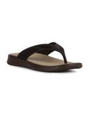 Brown color option, Sold out