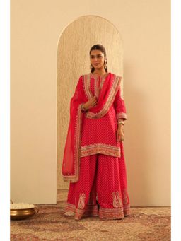 Sheetal Batra - Hoorain - Kurta With Sharara And Dupatta