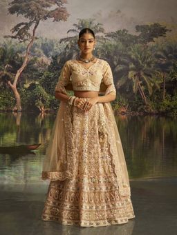 Odette - Cream Net Embroidered Semi-Stitched Lehenga with Blouse Piece and Dupatta