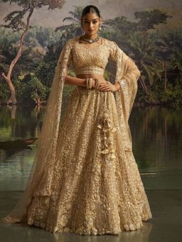 Odette - Beige Net Embroidered Semi-Stitched Lehenga with Blouse Piece and Dupatta