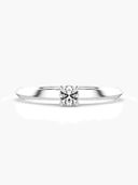 White Gold color option, Currently selected