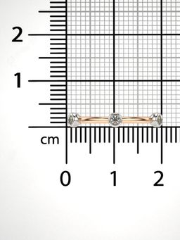 Valanova - Sterling Silver Plated with Rose Gold and Certified Lab Grown Diamond 0.15Cts Ring