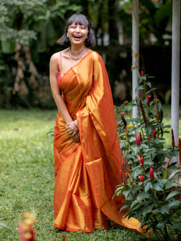 Suta - Orange Tissue Solid Saree Without Blouse
