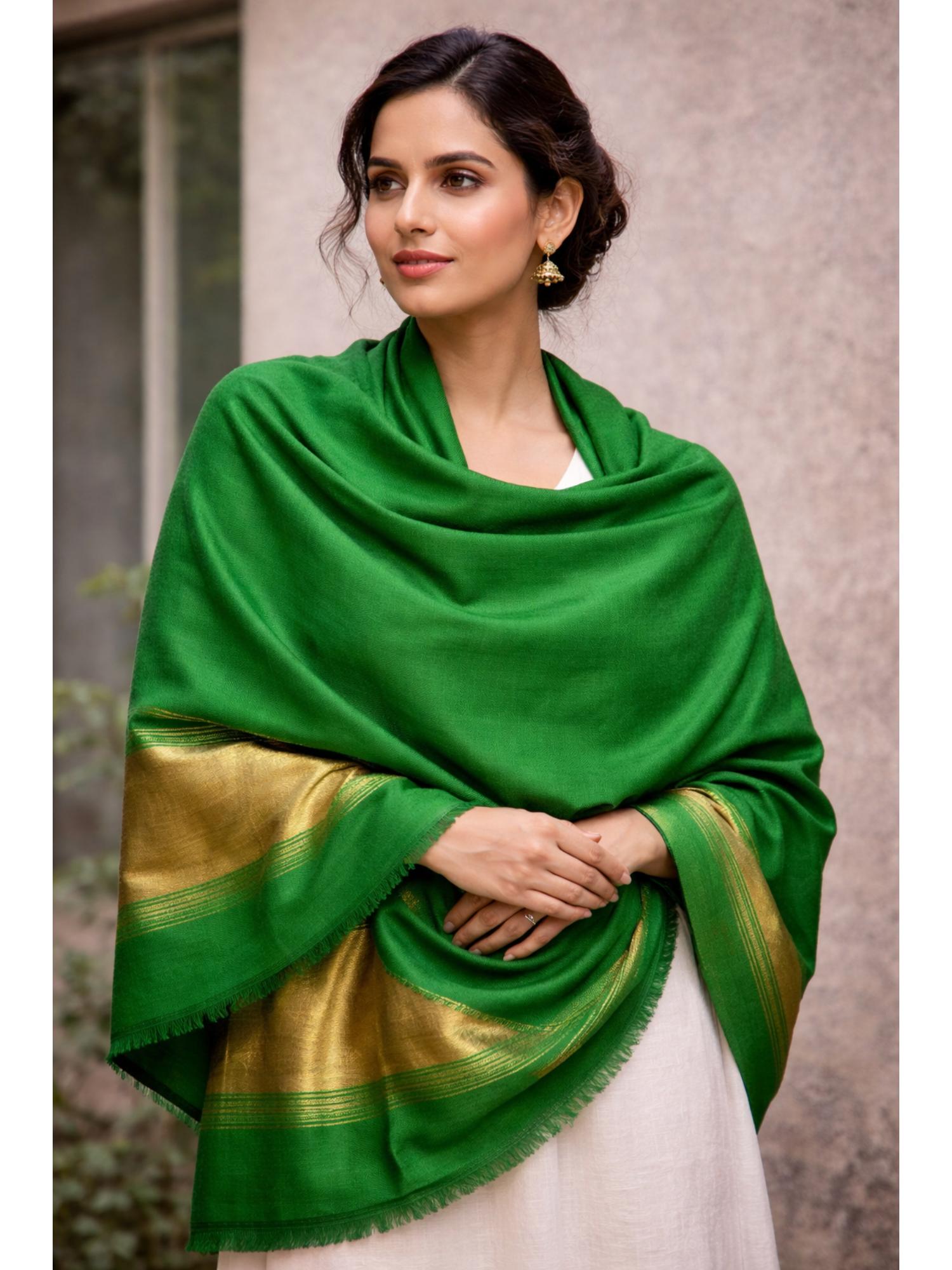 amounee Jam Khambhadiya Hand Woven Shawl - Green-picture-28