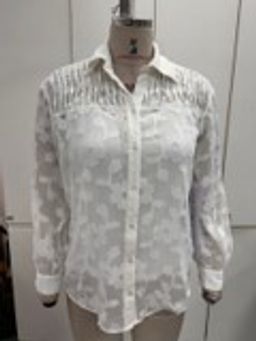 Twenty Dresses by Nykaa Fashion - Curve Burnt Orange Full Sleeves Shirt