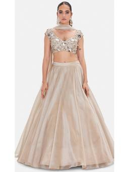 Basanti Kapde aur Koffee - Grey The Liquid Starlight Lehenga with Blouse and Dupatta