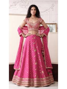 Basanti Kapde aur Koffee - Pink The Royal Gulzar Lehenga with Blouse and Dupatta