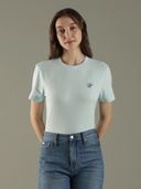 Blue color option, Currently selected