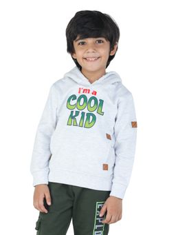 toothless - Kids Boys Grey Melange Hoodie