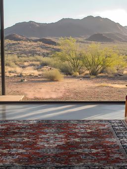 D'Decor Rugs - Eldon52 Multi-Color Home Premium Carpet For Hall - Solace