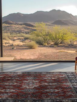 D'Decor Rugs - Eldon52 Multi-Color Home Premium Carpet For Hall - Solace