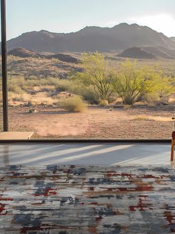 D'Decor Rugs - Eldon912030 Multi-Color Home Premium Carpet For Hall - Solace