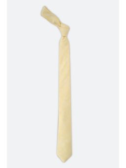 Van Heusen - Men Yellow Print Formal Tie