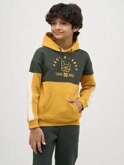Jack & Jones Junior - Boys Multi-Color Colourblocked Sweatshirt