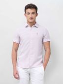 Purple color option, Currently selected