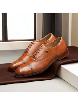Arrow - Men Vertex Tan Oxfords