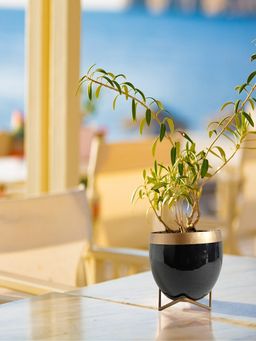 Ecofynd - Elis Black Metal Pot With Stand