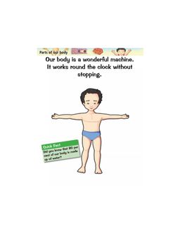 Pegasus - Human Body My Knowledge Book