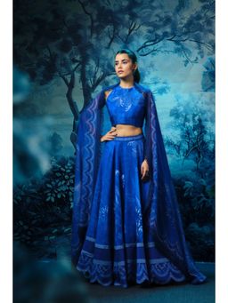 MANDIRA WIRK - Indigo Affair Cluster Lehenga Blouse with Dupatta