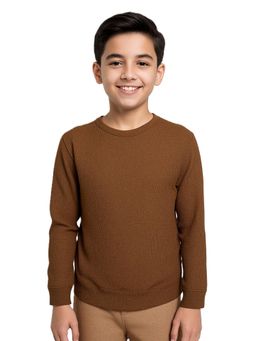 CAVIO - Boys Brown Regular Fit Round Neck Sweatshirt