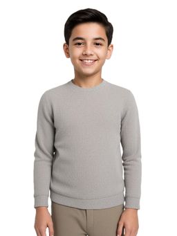 CAVIO - Boys Grey Regular Fit Round Neck Sweatshirt