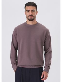 Banana Club - Purple Solid Regular Fit Sweatshirt