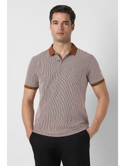 Peter England - Brown Stripes Regular Fit Polo T-Shirt