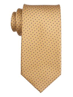 The Tie Hub - Yellow with Blue Polka 1005 Silk Necktie