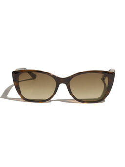 Vintage - Brown Cat Eye Sunglasses (Celine Col 131) (53)