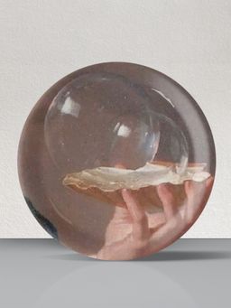 Nestroots - Vintage Shell Wall Plates