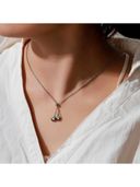 Silver color option, Currently selected