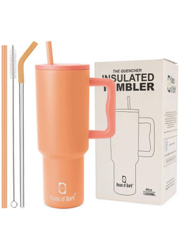 House of Quirk - Tumbler Bottle with Handle and Straw Lid Double Insulated 1200ml (Orange)