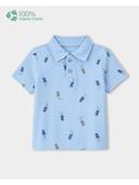 Blue color option, Currently selected