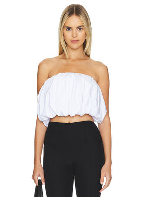 SAMPLE-Eryn Top