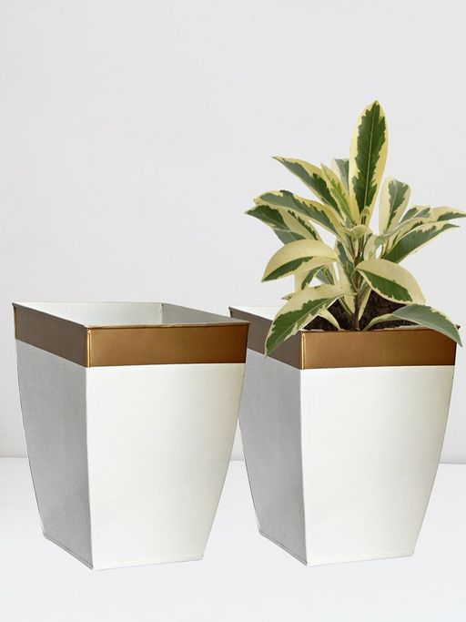 Ecofynd Midland 8Inches White Tapered Planter