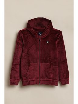 Allen Solly - Maroon Polyester Regular Hoodie