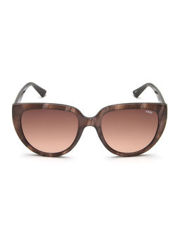 IDEE - Brown Oval 100% Uv Protected Sunglasses For Women Size 55